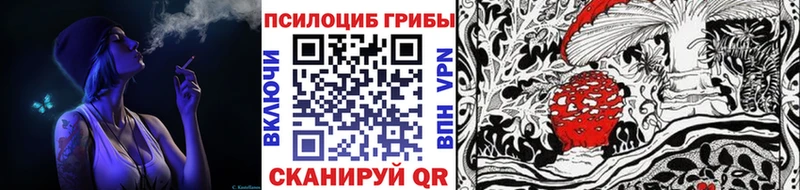 Купить где  Белоозёрский  Галлюциногенные грибы Magic Shrooms 