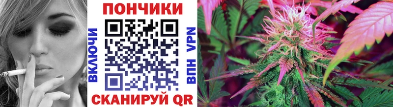 Конопля SATIVA & INDICA  Купить  Белоозёрский 